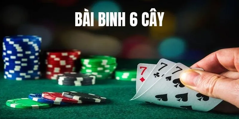 Bài Binh 6 Cây Những Thông Tin Quan Trọng Dành Cho Tân Thủ 1 Bài binh 6 cây