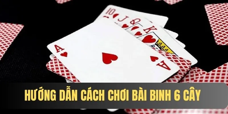 Bài Binh 6 Cây Những Thông Tin Quan Trọng Dành Cho Tân Thủ 4 Hướng dẫn cách chơi binh 6 cây cực đơn giản