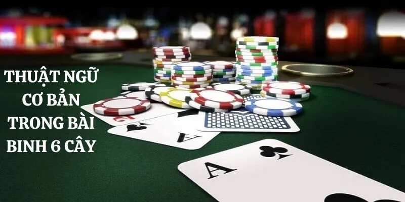 Bài Binh 6 Cây Những Thông Tin Quan Trọng Dành Cho Tân Thủ 3 Thuật ngữ trong bài binh 6 lá bạn cần nắm là gì?